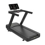 Caminadoras 110W DHZ